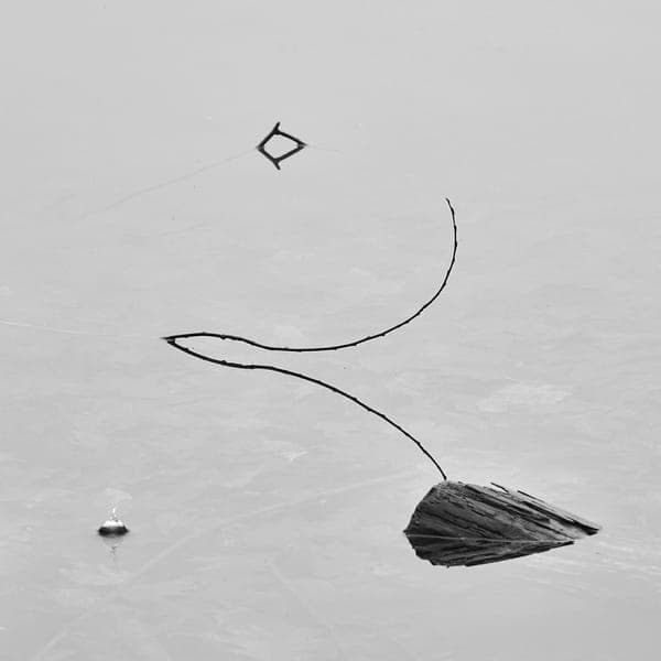 Fog