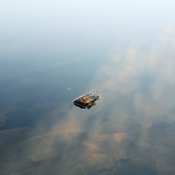 Reflection